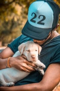 Man met labrador pup op armen