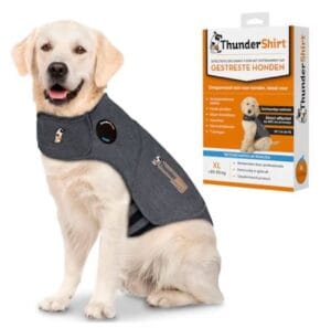 Thundershirt hond