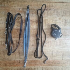 Wat is de beste riem voor een labrador?