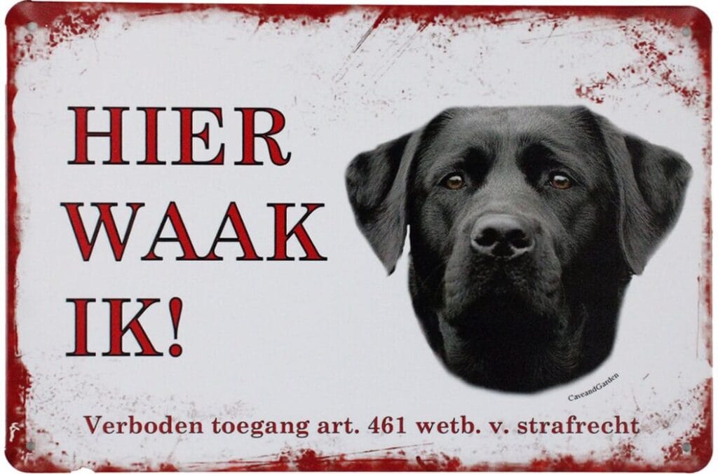 Hier waak ik zwarte labrador