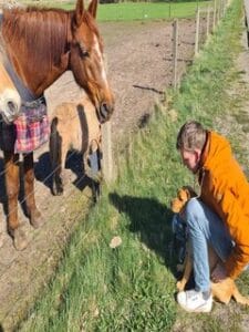 Ik zit met mijn labrador bij een paard om Teddy's angst te overwinnen