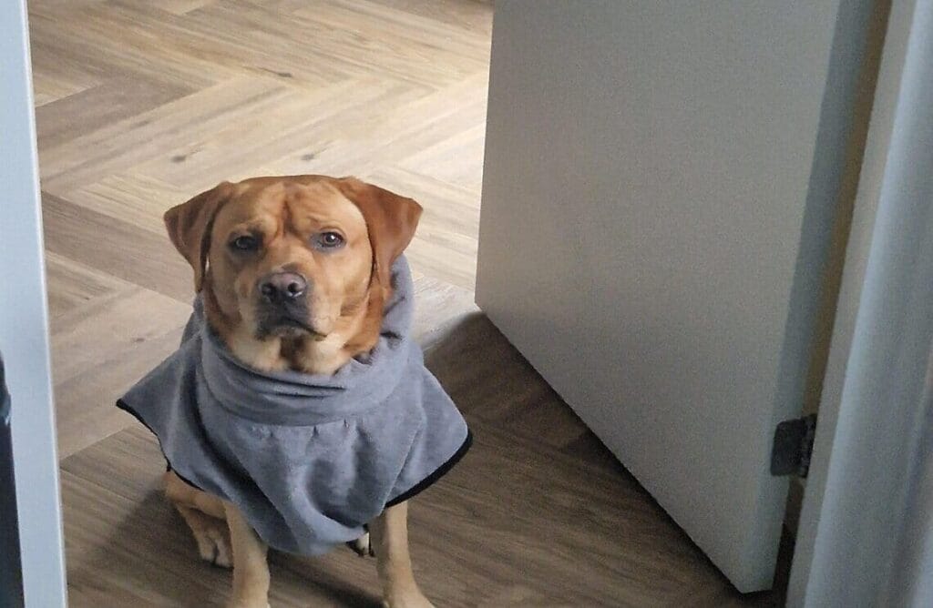 Op deze afbeelding zie je Teddy in zijn badjas