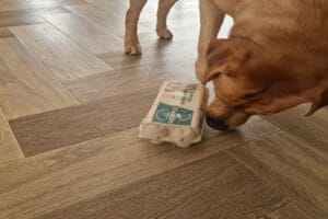 Mentale training Teddy