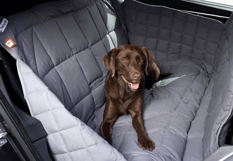 Doctor Bark Car Seat Blanket