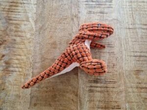 Dit is de dino-knuffel, één van de favoriete speeltjes van Teddy