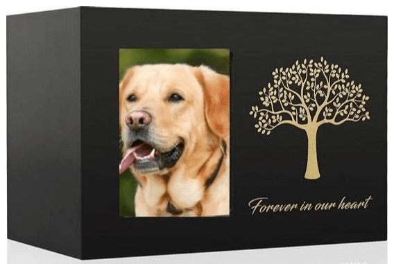 Urn overleden labrador met fotolijstje