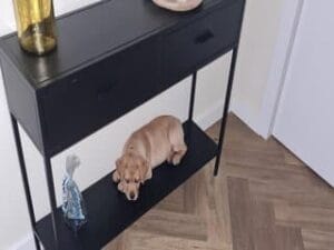 Teddy ligt als pup op het meubel in de gang