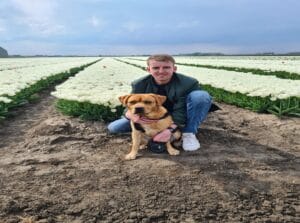 Bas Teddy tulpen home