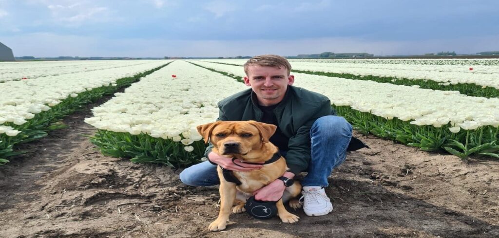 Bas Teddy tulpen home