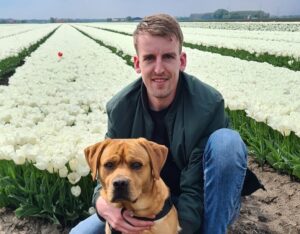 Bas Teddy tulpenveld
