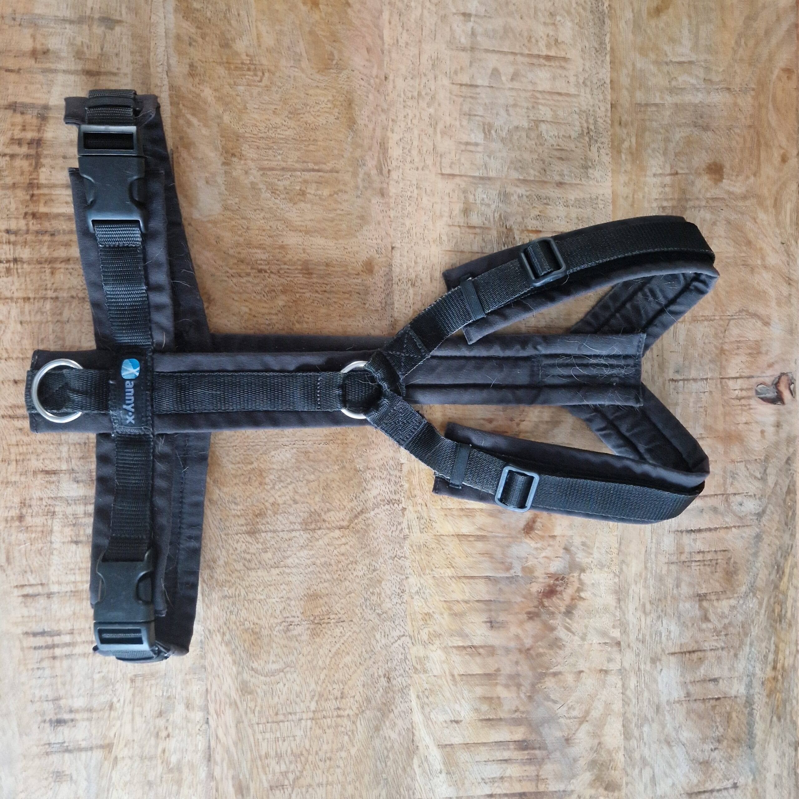 Het Y-tuig van AnnyX die ik voor mijn labrador Teddy gebruik