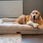 Pet Perfect Core hondenmand