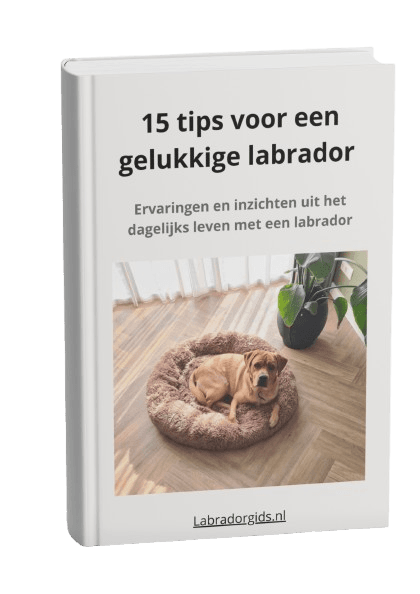 Cover e-book nieuwsbrief