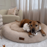 Orthopedische donut hondenmand labrador Your Pet Perfect